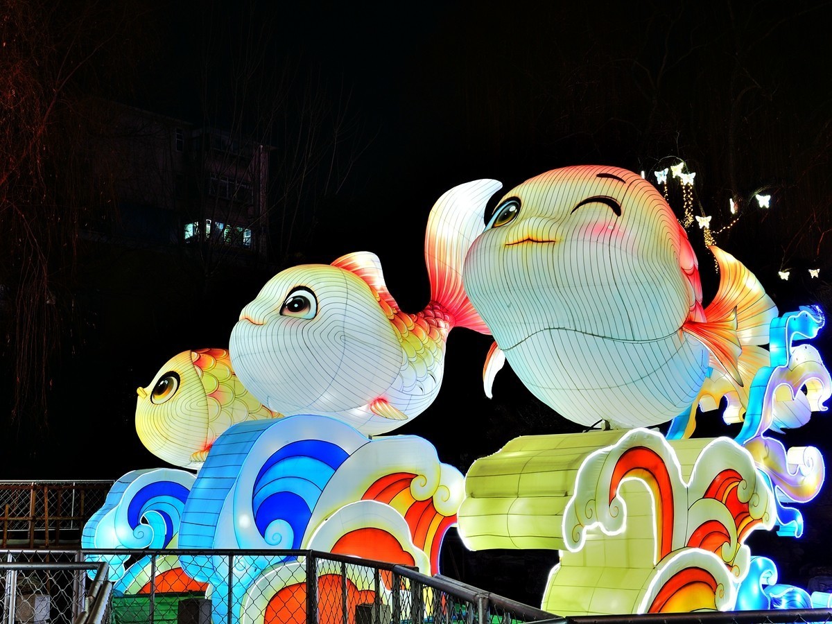 【视觉光影】泉 城 灯 会 （3）