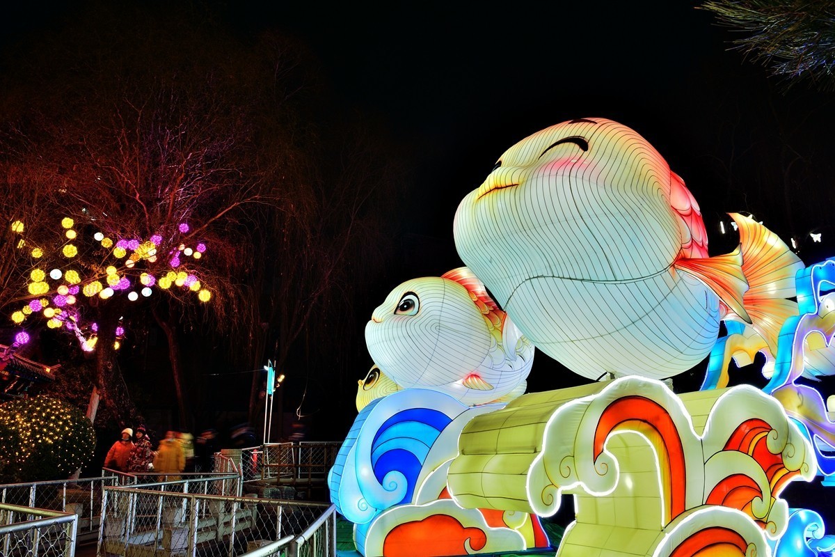 【视觉光影】泉 城 灯 会 （3）