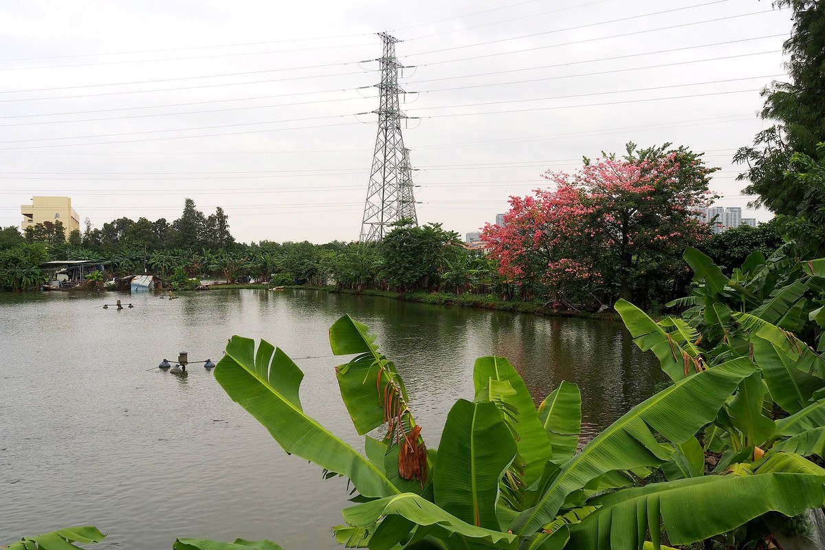 三角镇路边碎拍（1）