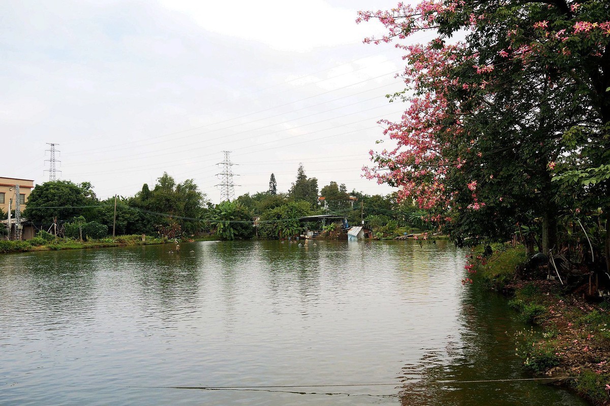 三角镇路边碎拍（1）