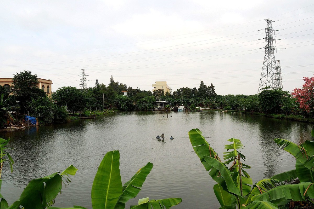 三角镇路边碎拍（1）