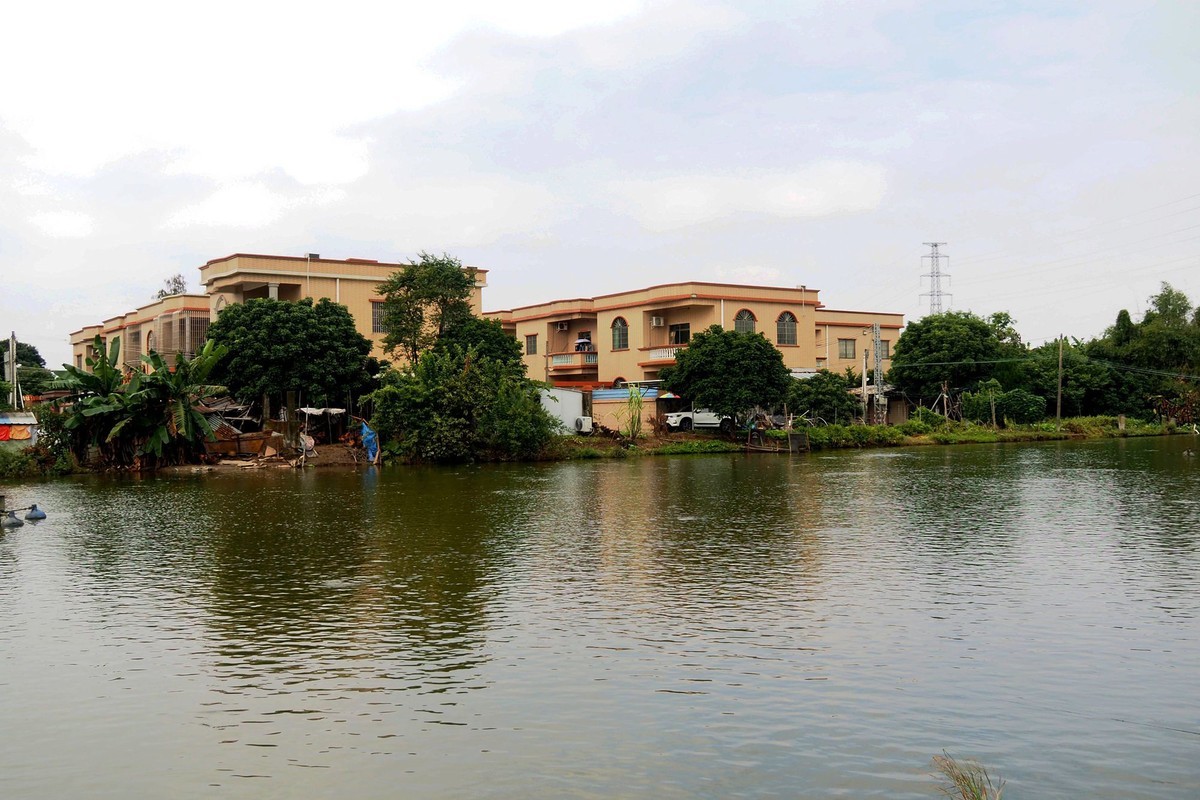 三角镇路边碎拍（1）