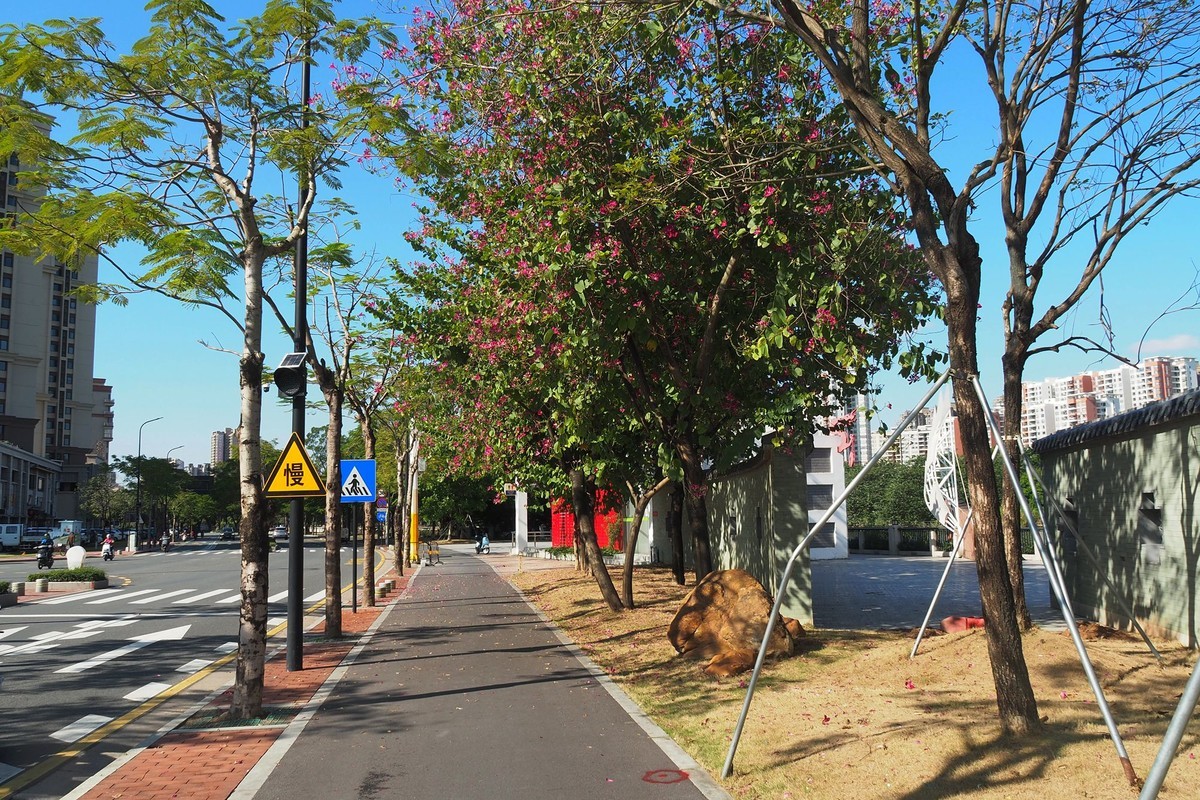 中山——岐江风光（1）