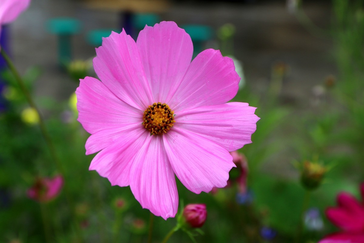 武隆赵家乡 避暑纳凉 （一）