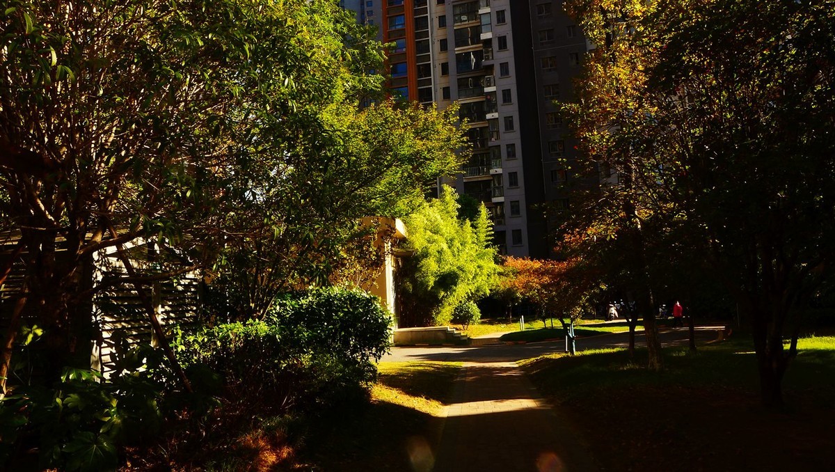 风光美景【3931】