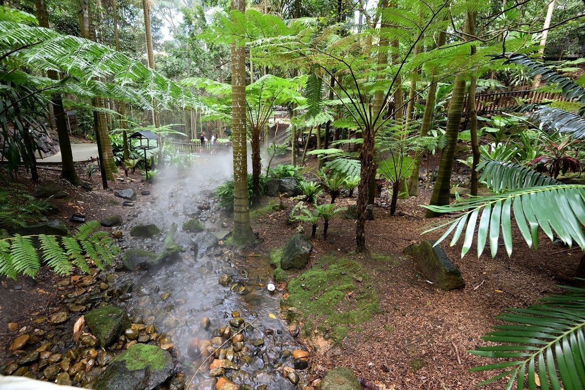 澳大利亚的黄金海岸   6/6