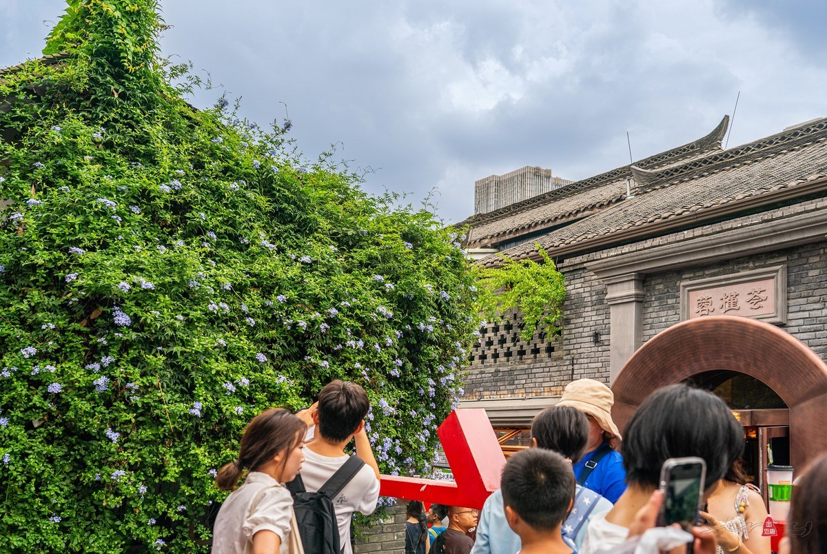 四川行（三）成都宽窄巷子