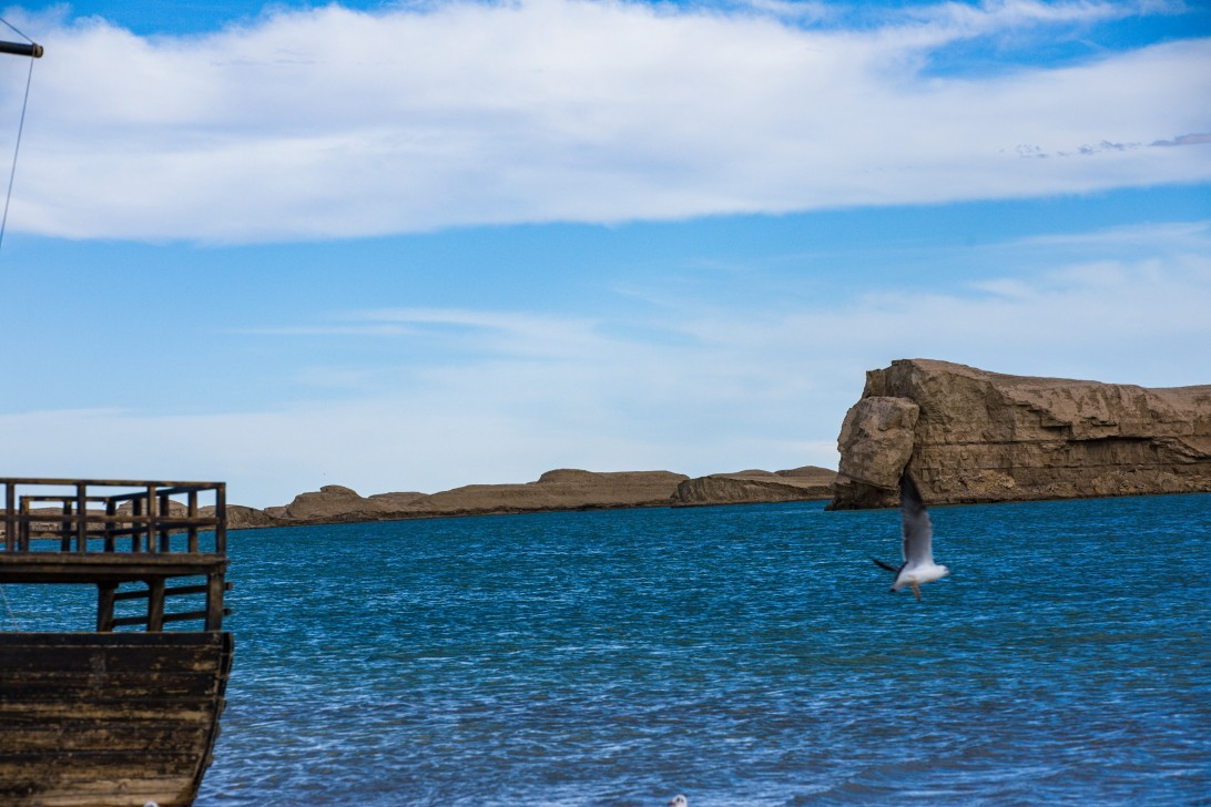 外出随拍（续185）.