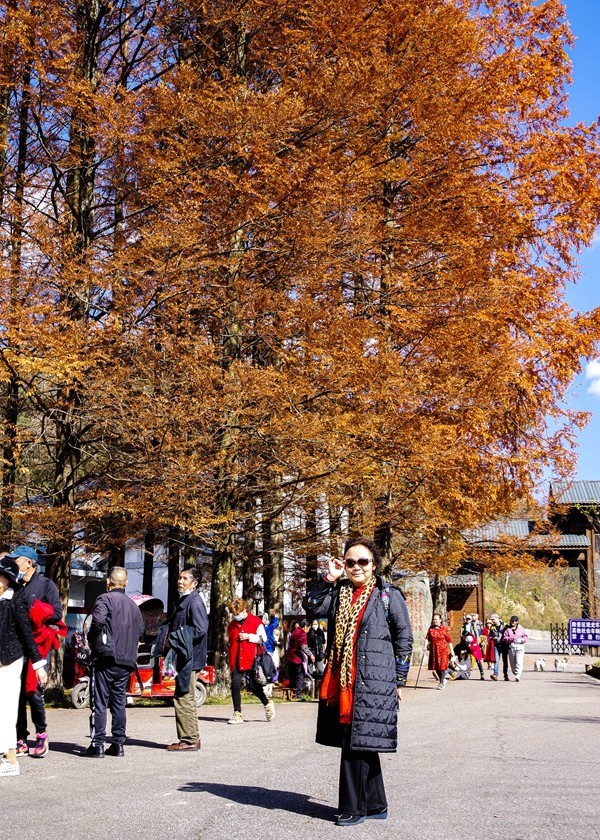 光雾山金秋行【9】