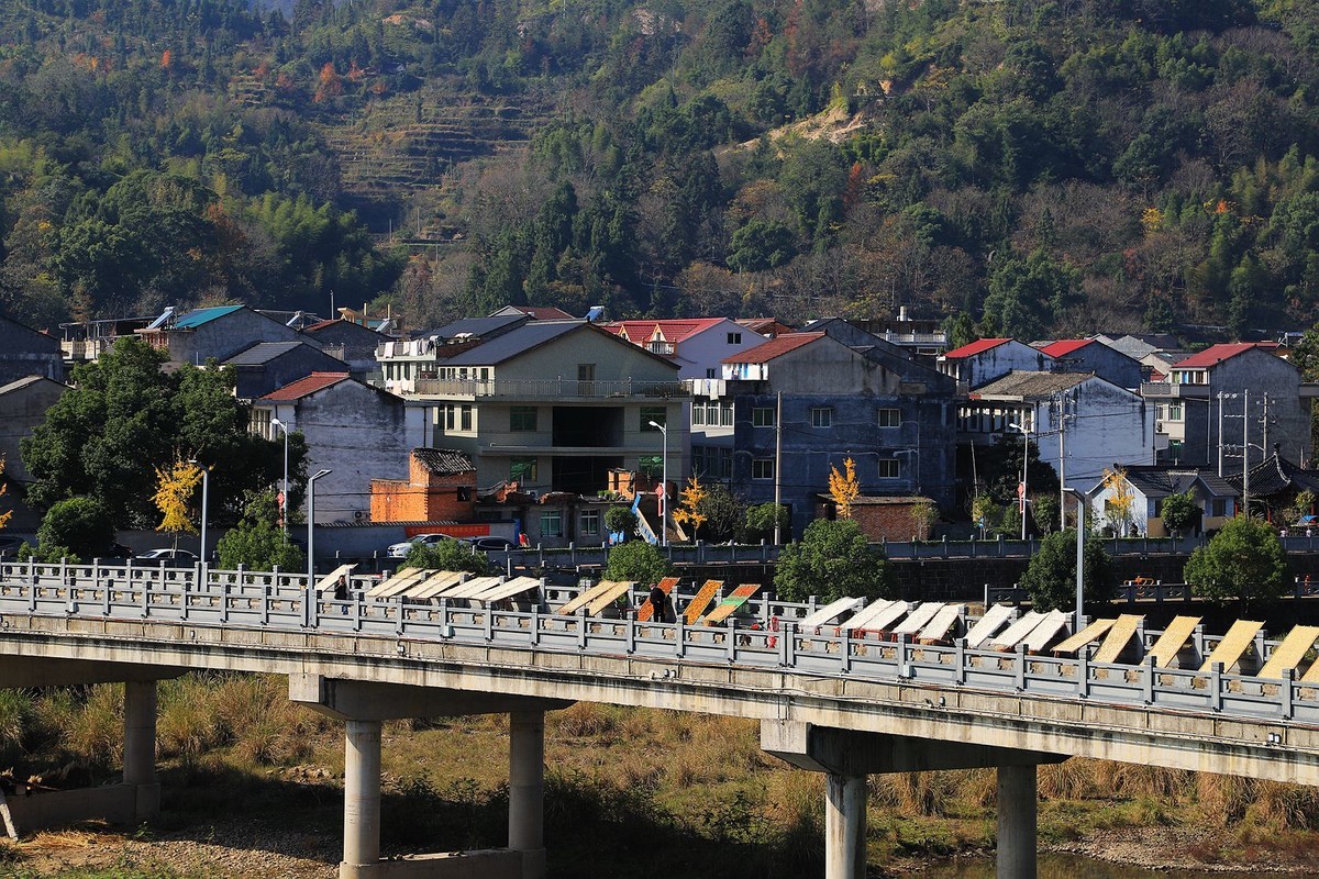 永嘉碧莲高速建设图片