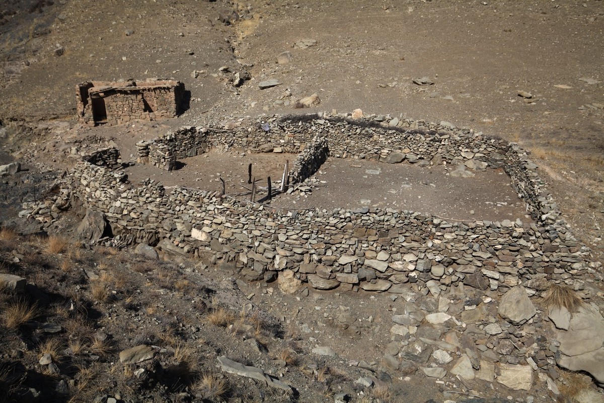 荒凉的贺兰山里