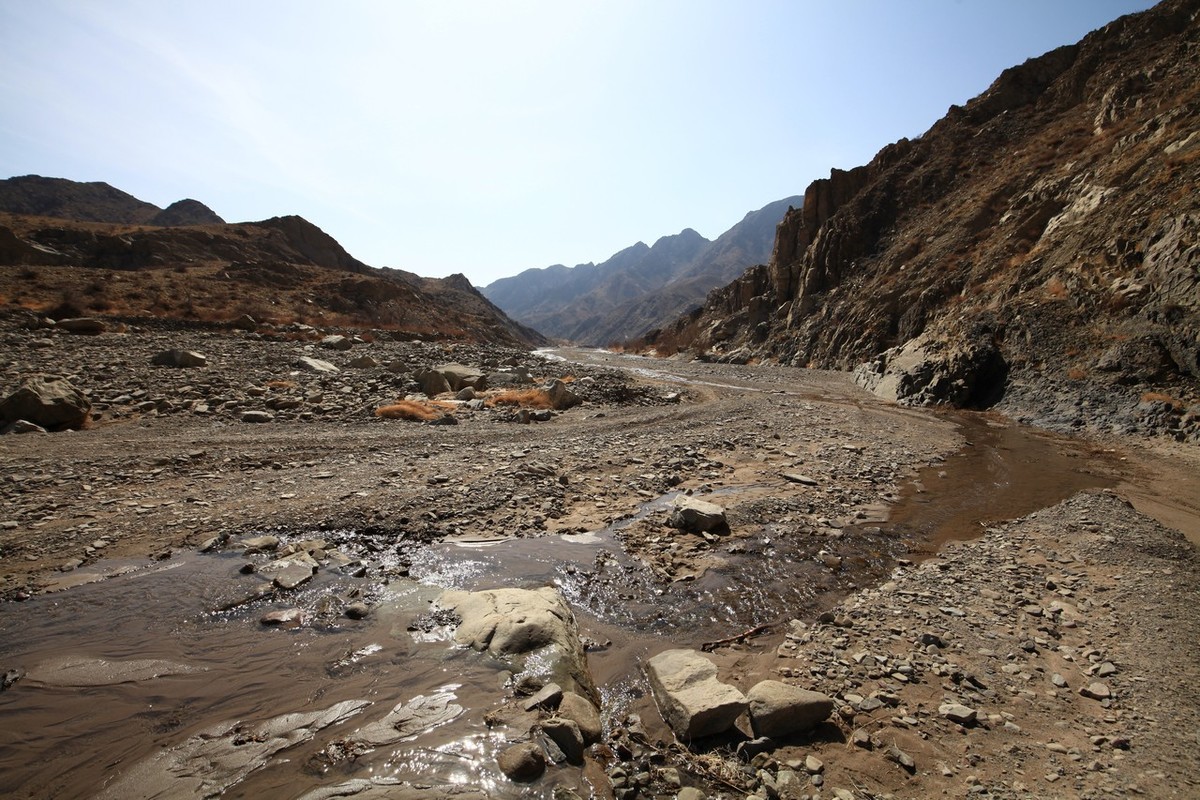 荒凉的贺兰山里