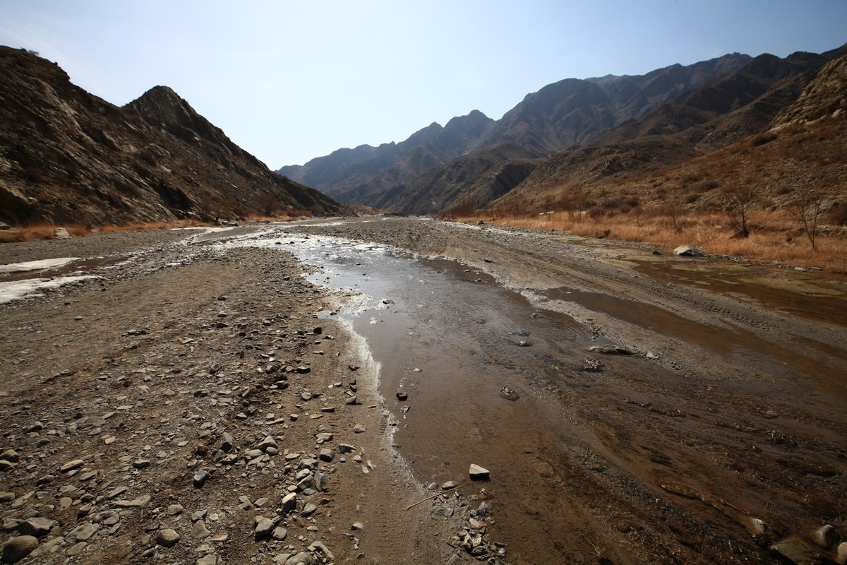 荒凉的贺兰山里