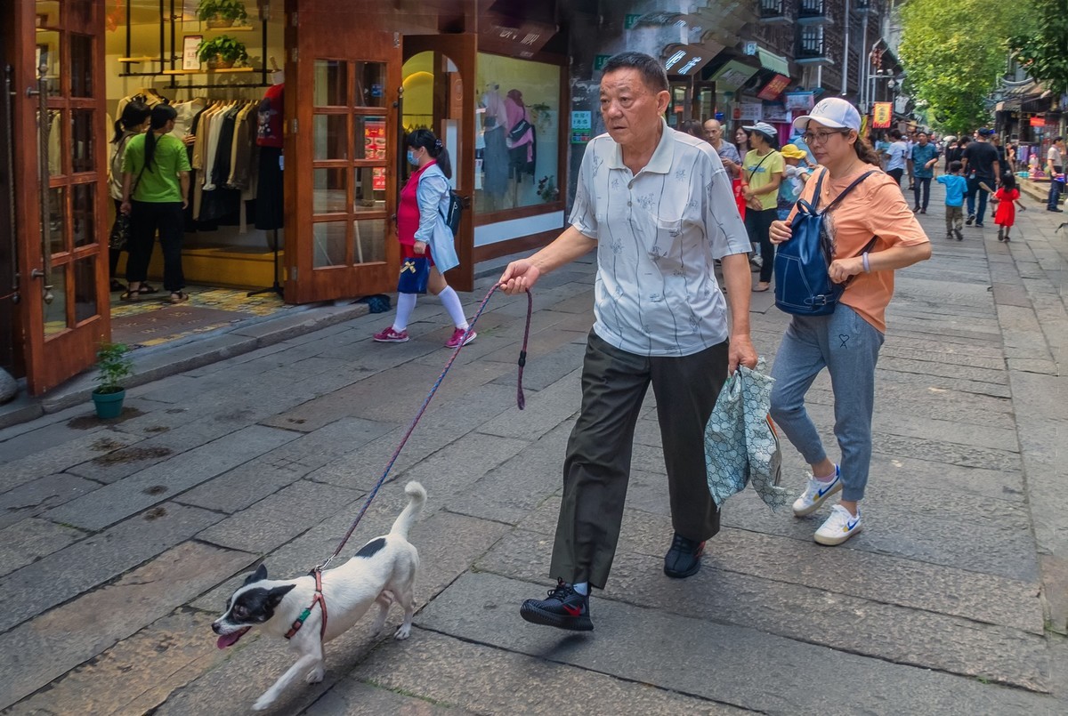 枫泾古镇之三