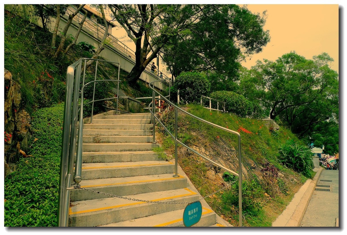 小DC陪我游香港：海洋公园（4）