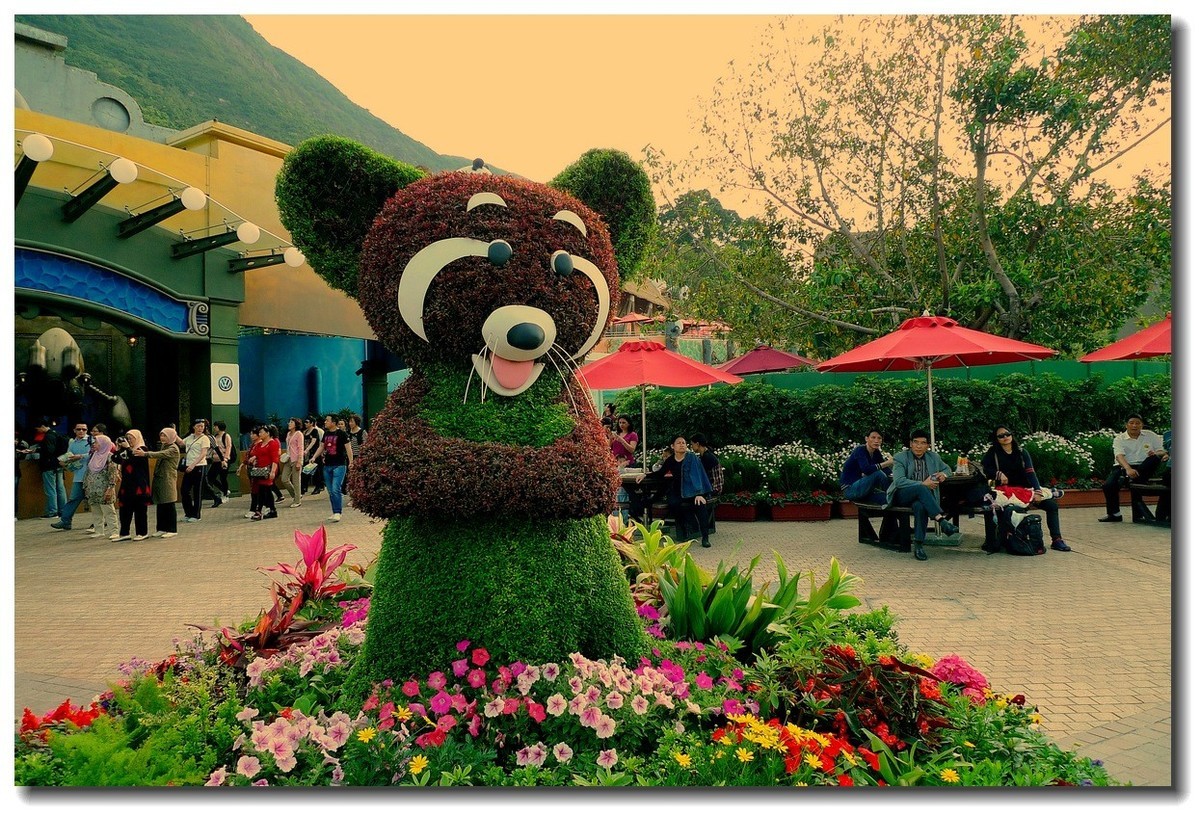 小DC陪我游香港：海洋公园（4）