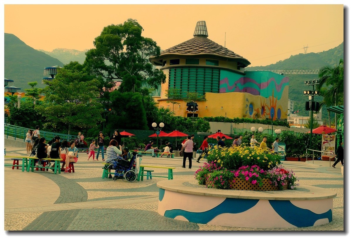 小DC陪我游香港：海洋公园（4）