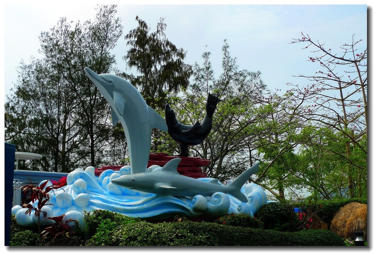 小DC陪我游香港：海洋公园（3）