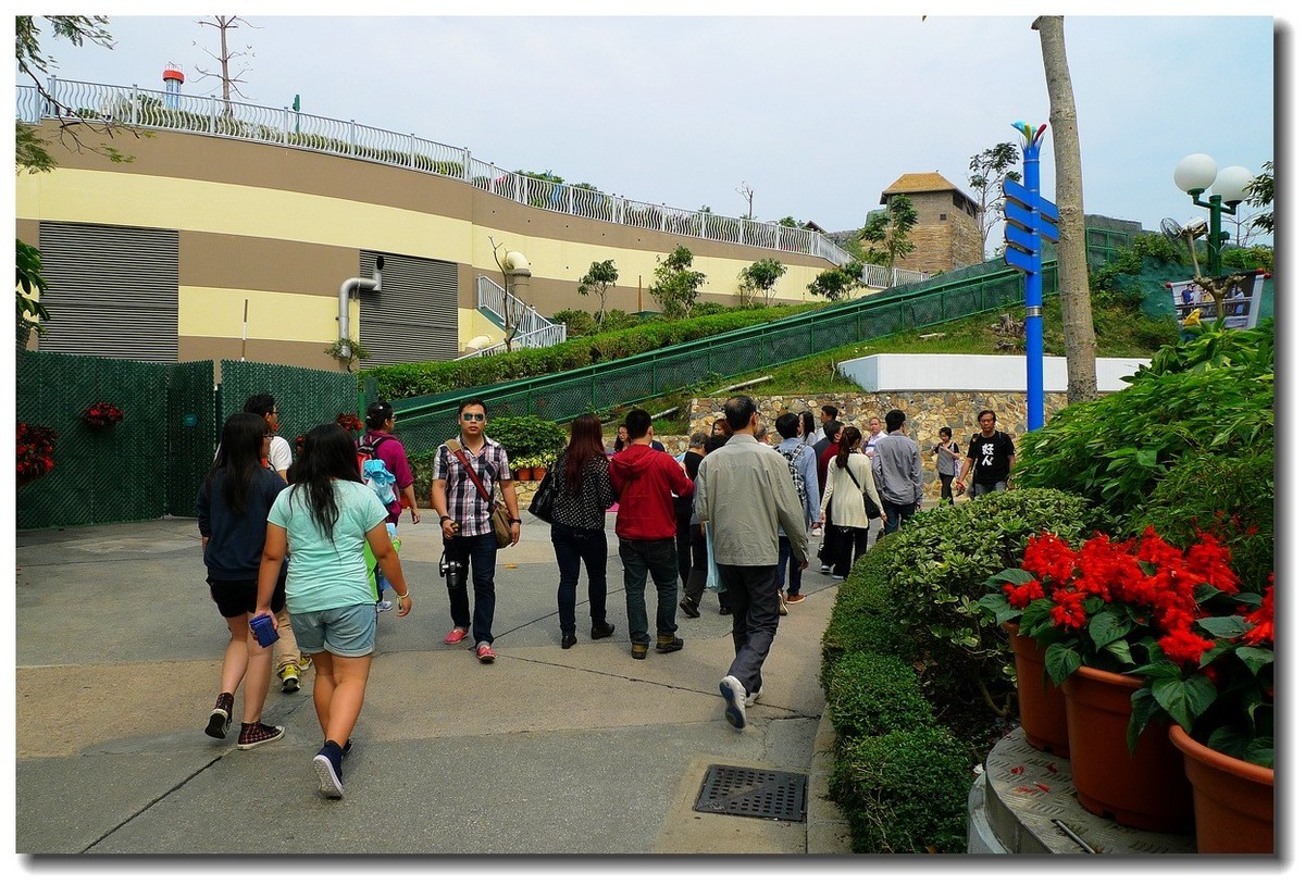 小DC陪我游香港：海洋公园（3）