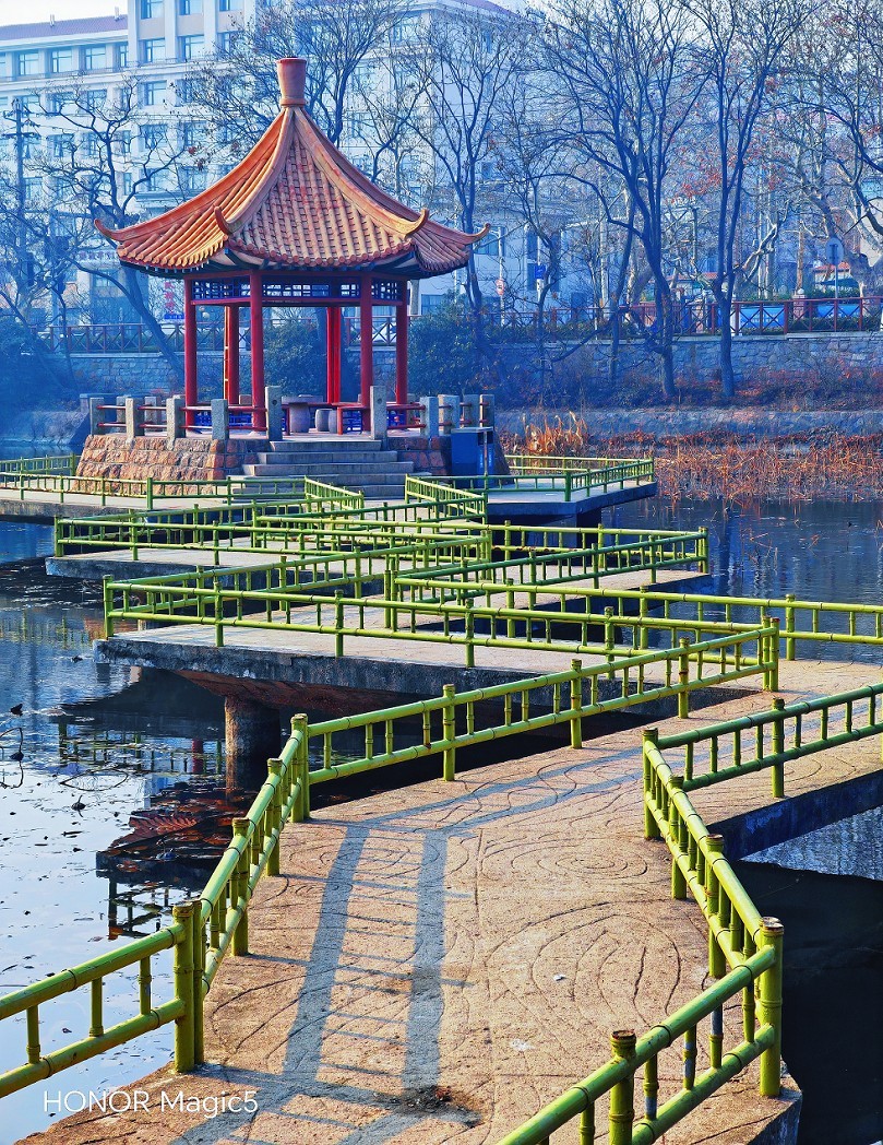 冬季胡拍乱拍扫《冬景就是冬天的景》《干枝烂叶总是情》什么乱七八糟的名字！