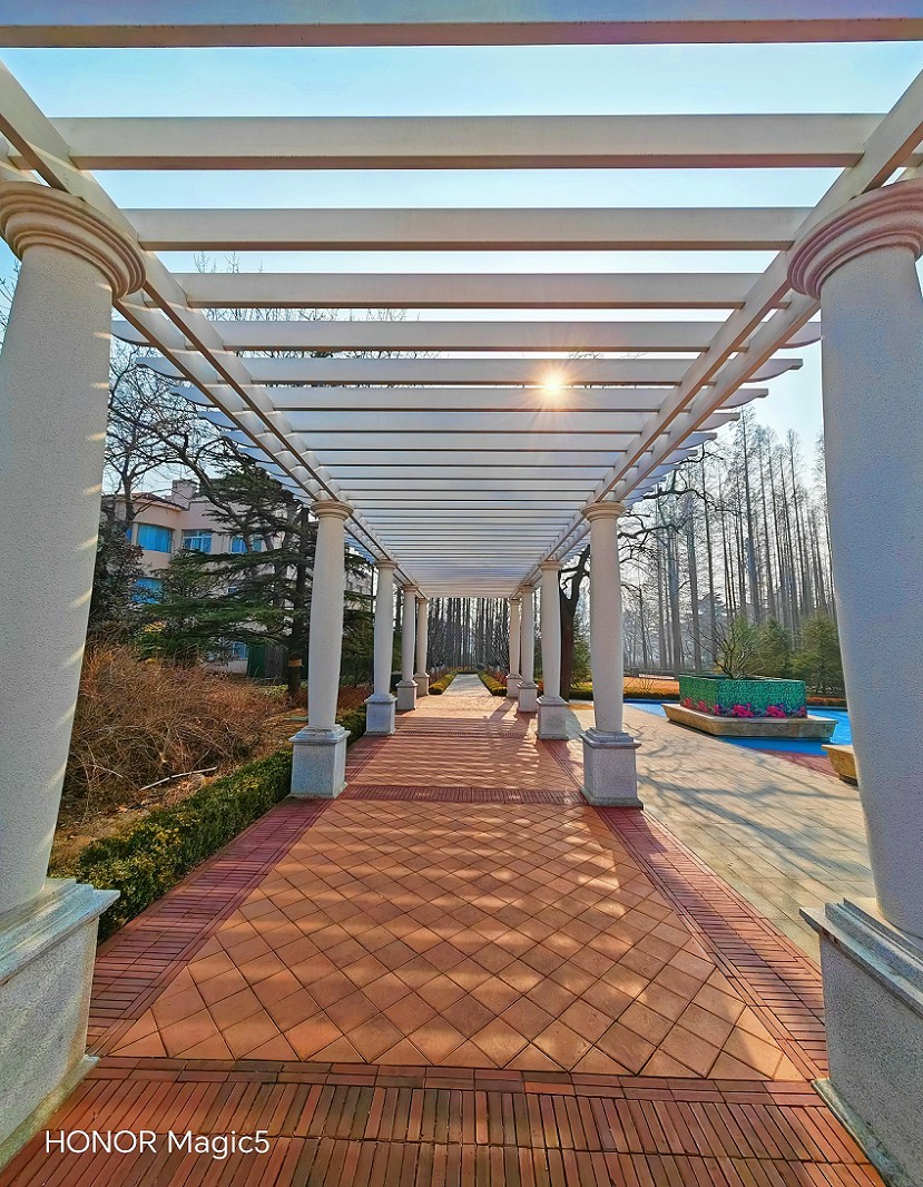 冬季胡拍乱拍扫《冬景就是冬天的景》《干枝烂叶总是情》什么乱七八糟的名字！