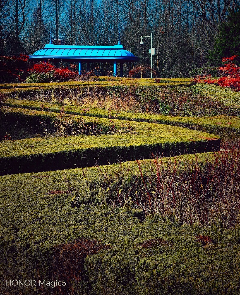 冬季胡拍乱拍扫《冬景就是冬天的景》《干枝烂叶总是情》什么乱七八糟的名字！
