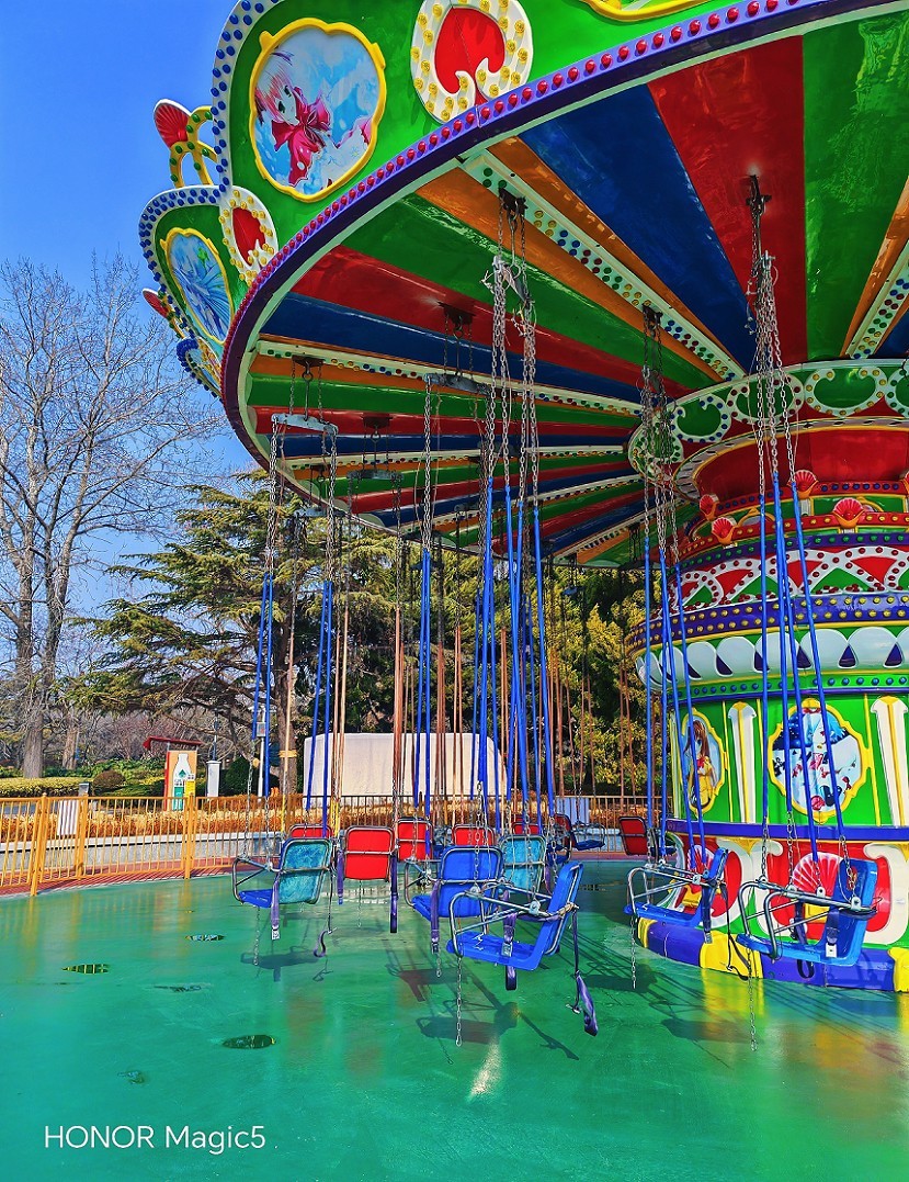 冬季胡拍乱拍扫《冬景就是冬天的景》《干枝烂叶总是情》什么乱七八糟的名字！