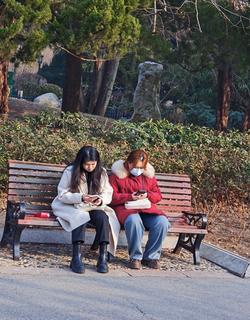 冬季胡拍乱拍扫《冬景就是冬天的景》《干枝烂叶总是情》什么乱七八糟的名字！