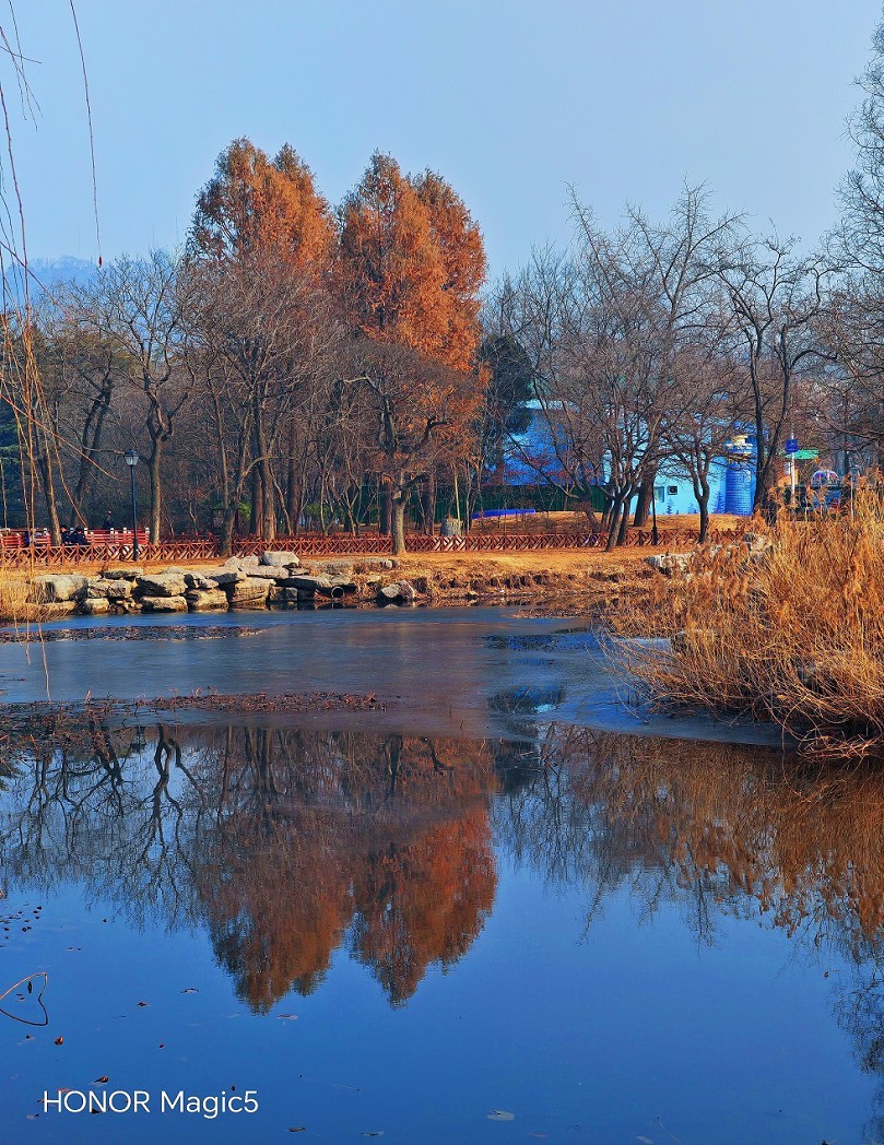 冬季胡拍乱拍扫《冬景就是冬天的景》《干枝烂叶总是情》什么乱七八糟的名字！