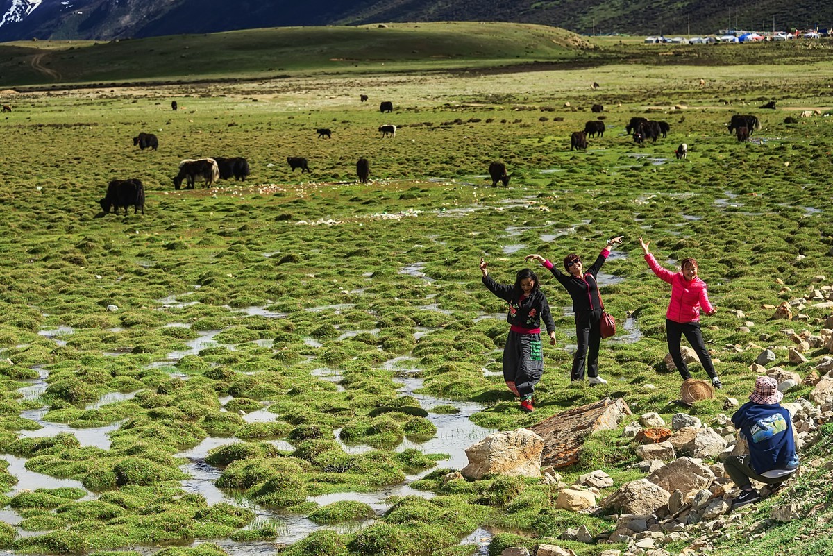 2019.06.进藏回顾 之 《西藏昌都 · 八宿风光》
