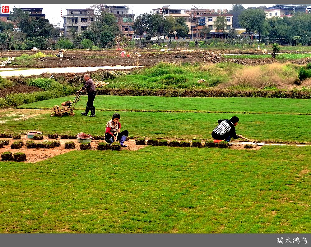 【印象潮汕】28.走进自在侨乡的南华又庐
