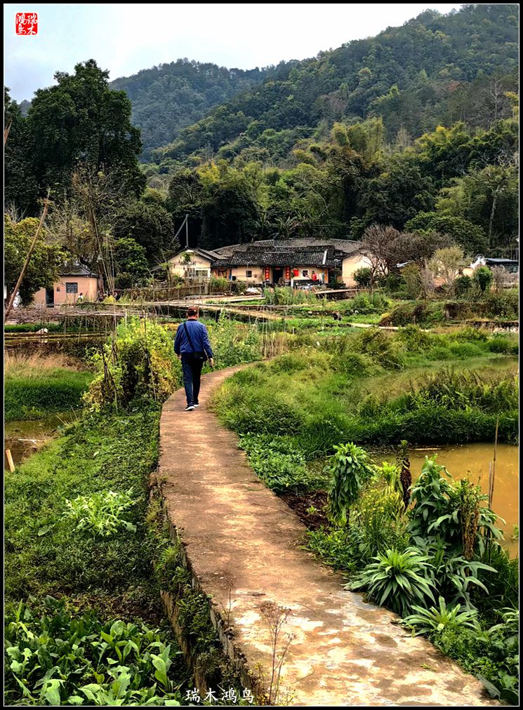 【印象潮汕】28.走进自在侨乡的南华又庐
