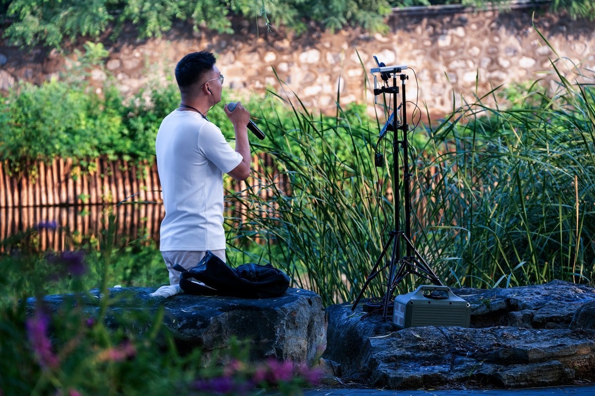 荷花飘香系列图片(17)荷塘留影