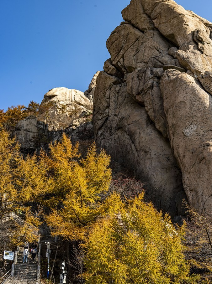 天地淳和  崂山