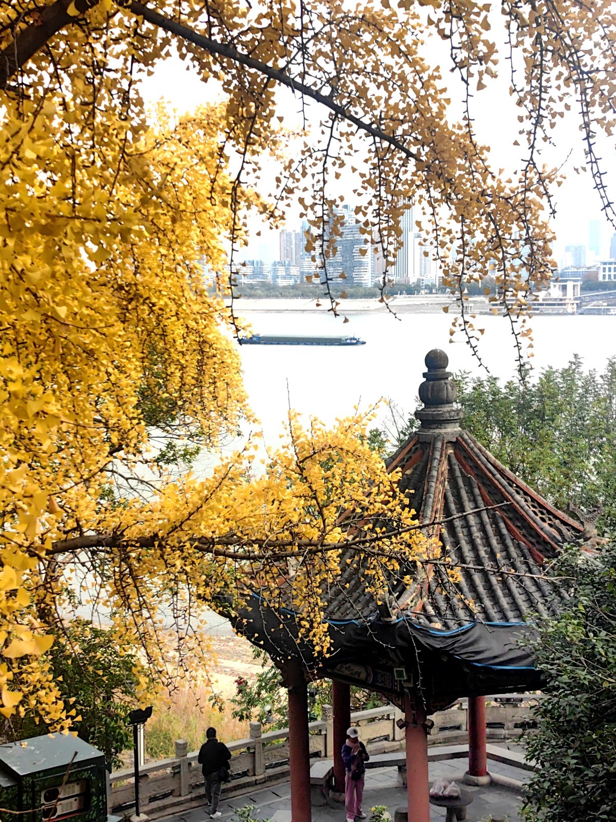 晴川历历汉阳树