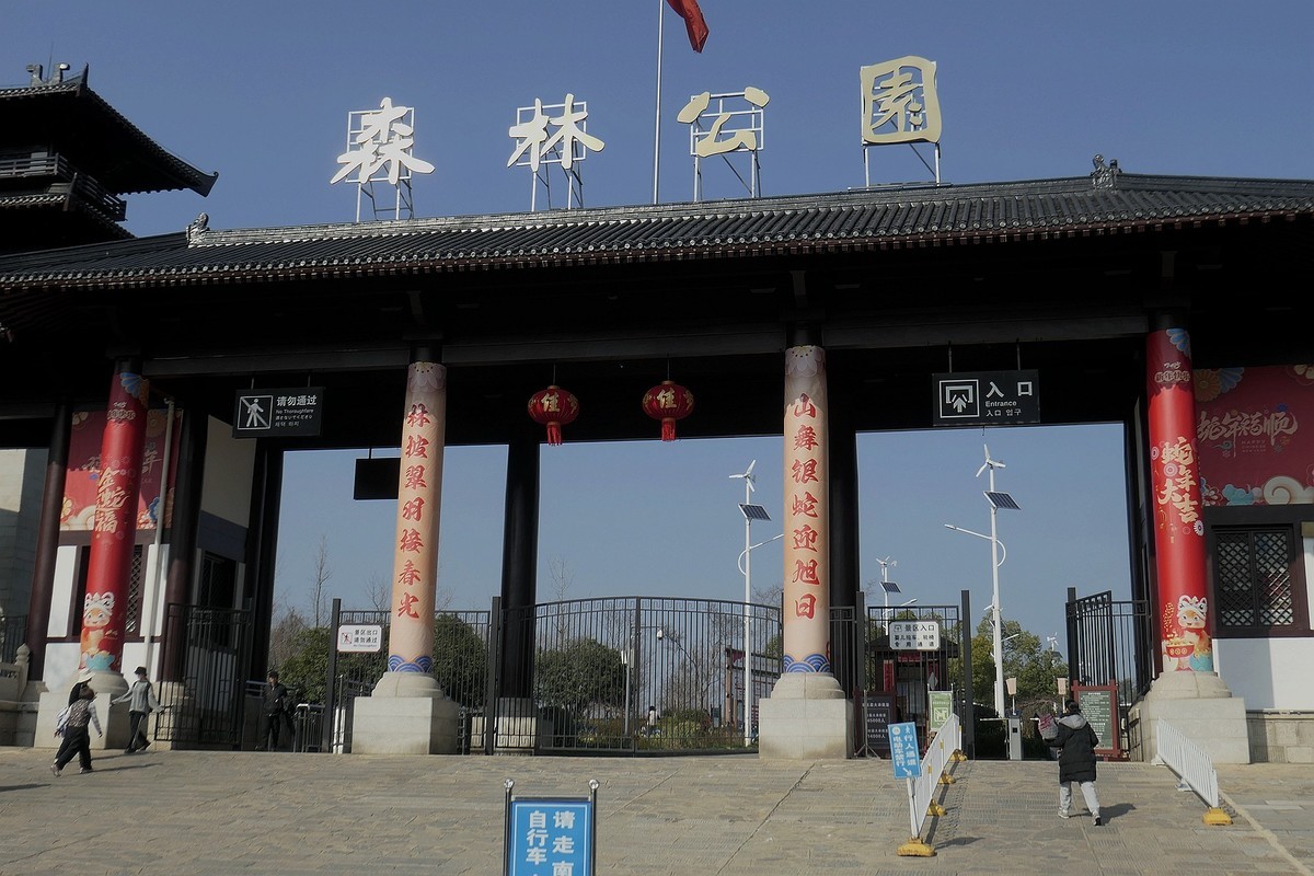 马鞍山森林公园--销假