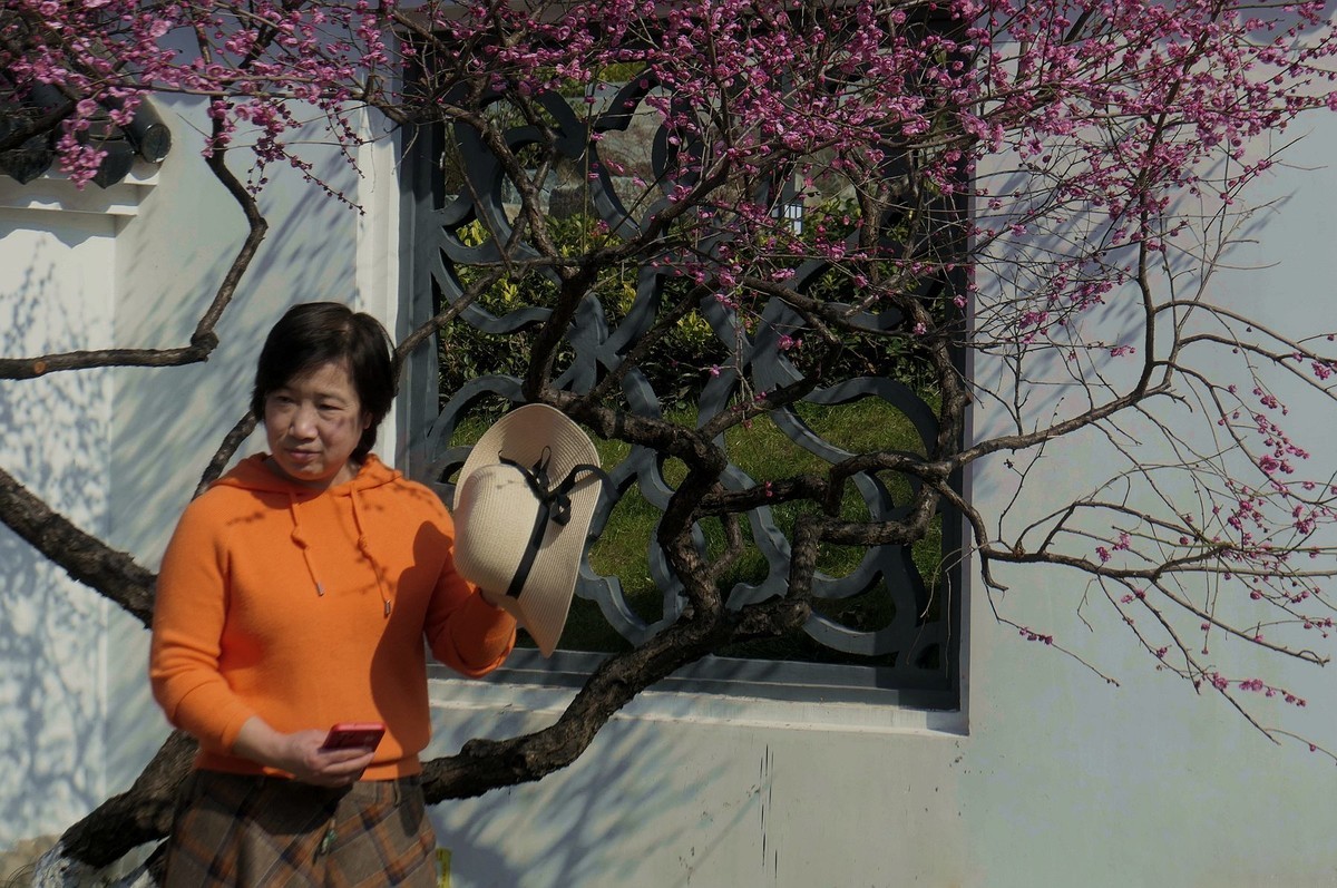 马鞍山森林公园--销假