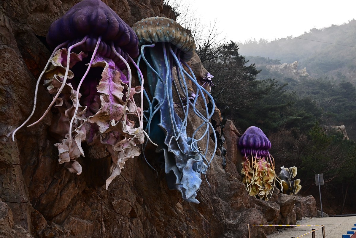 春游海之韵公园