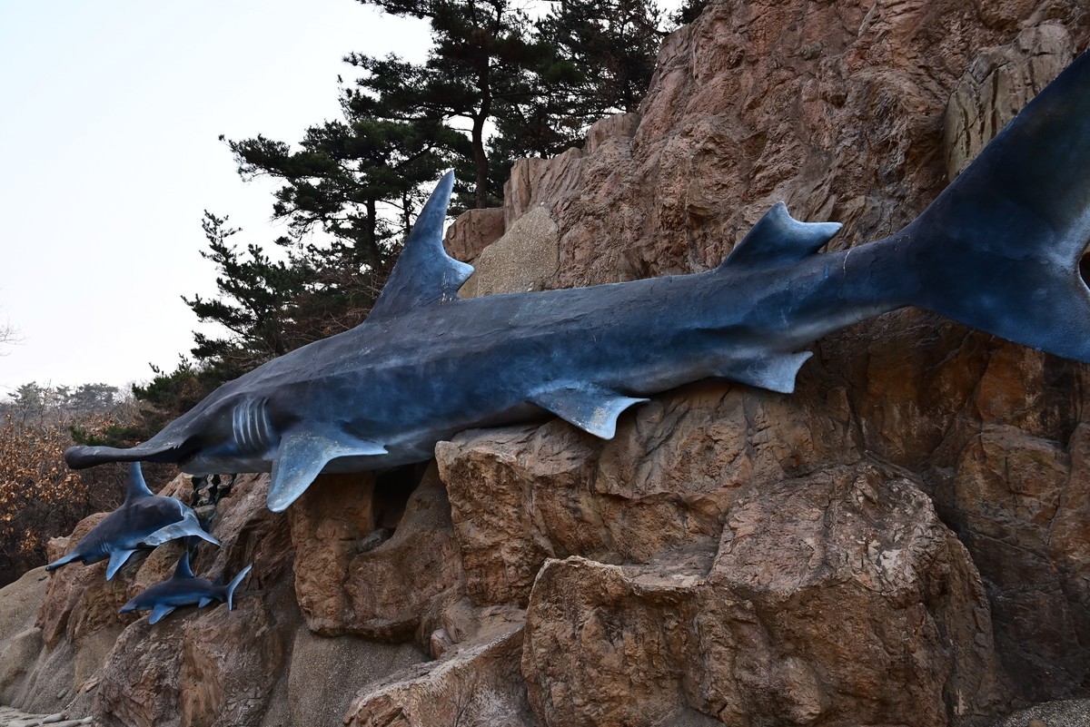 春游海之韵公园