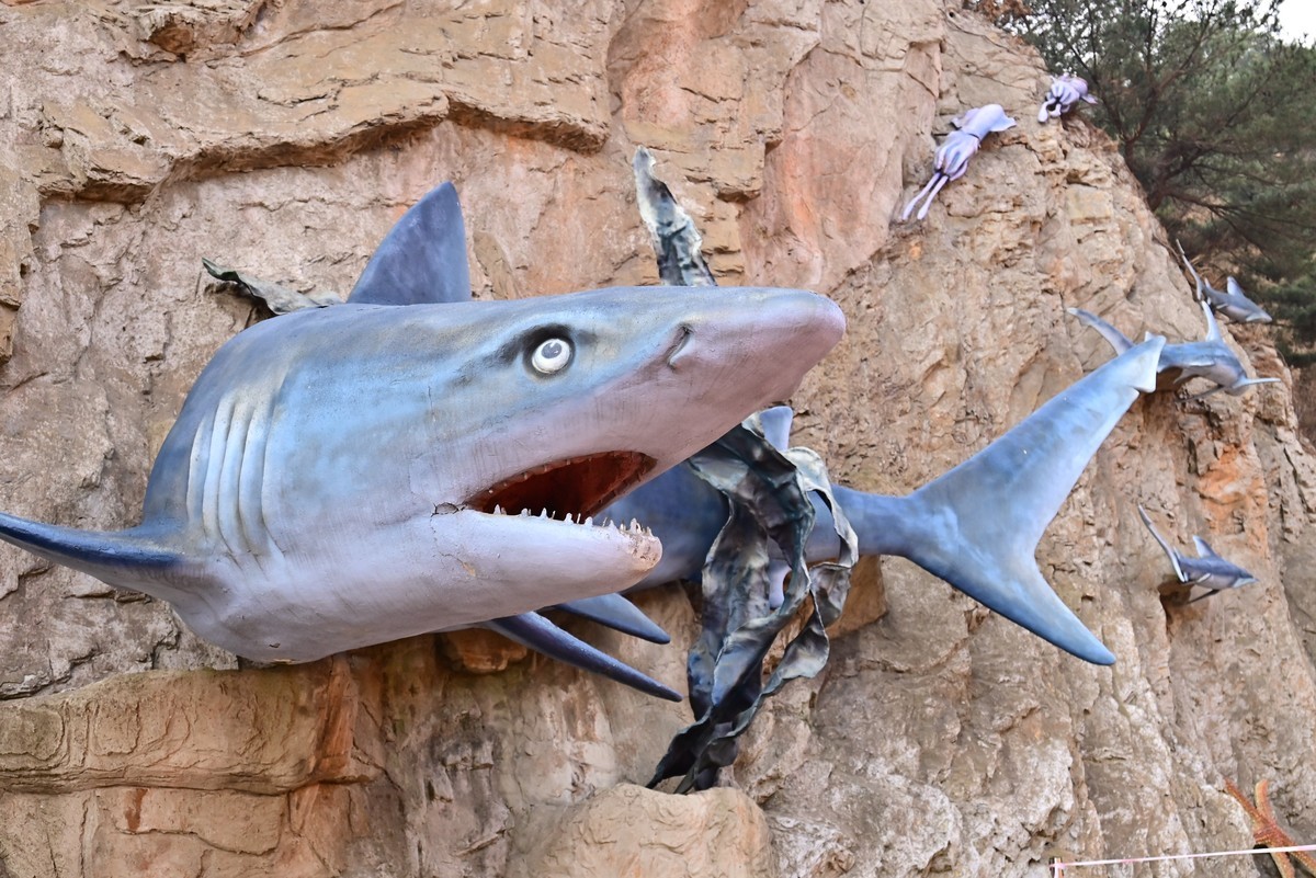 春游海之韵公园