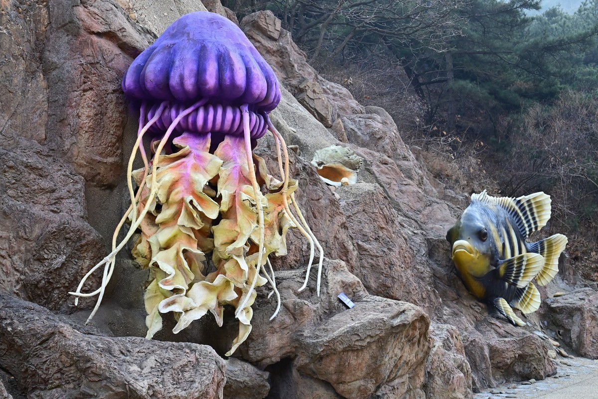 春游海之韵公园