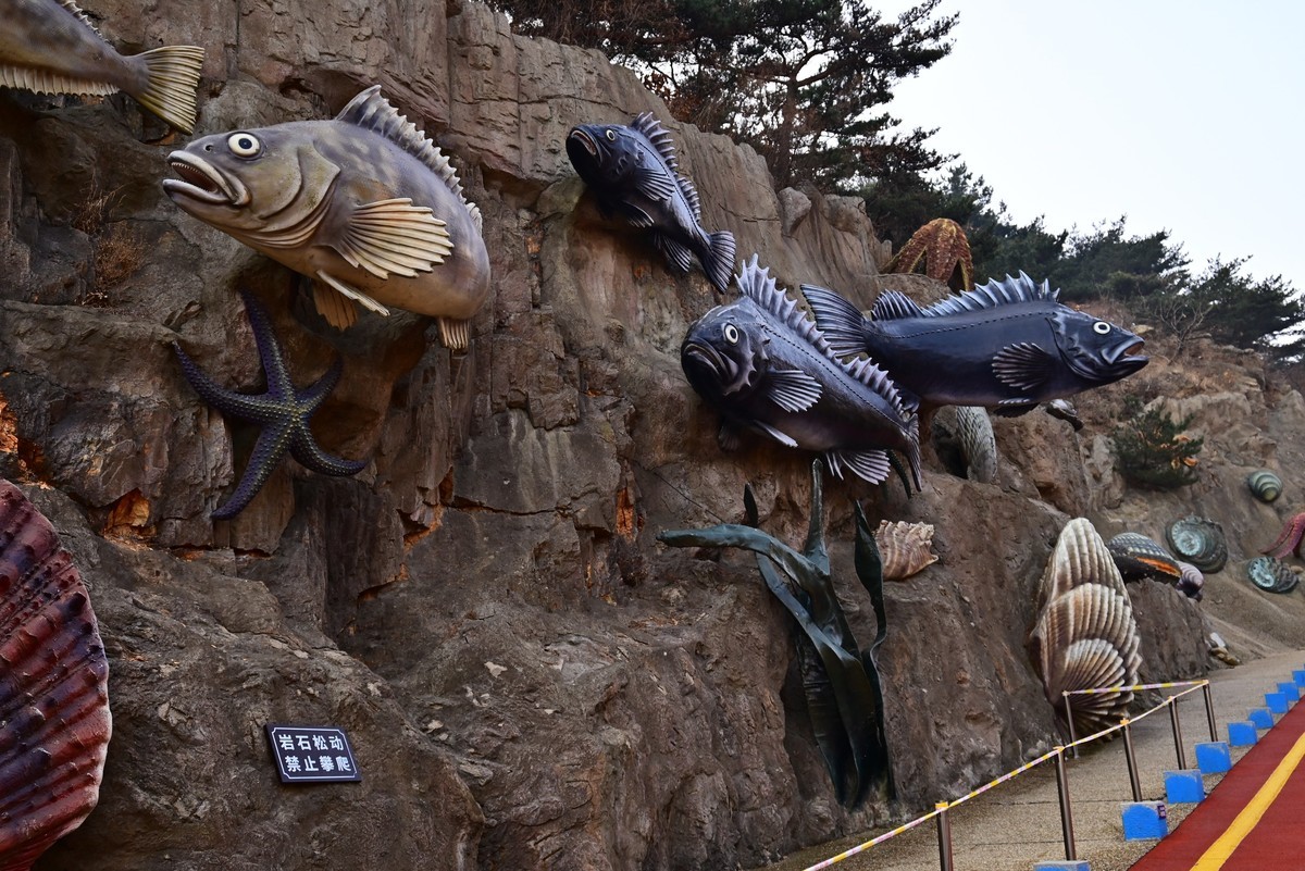 春游海之韵公园