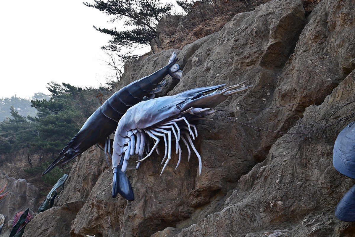 春游海之韵公园