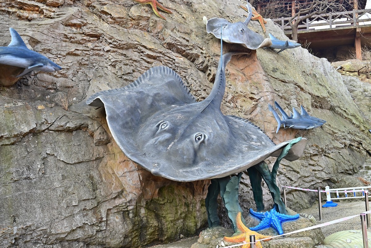 春游海之韵公园