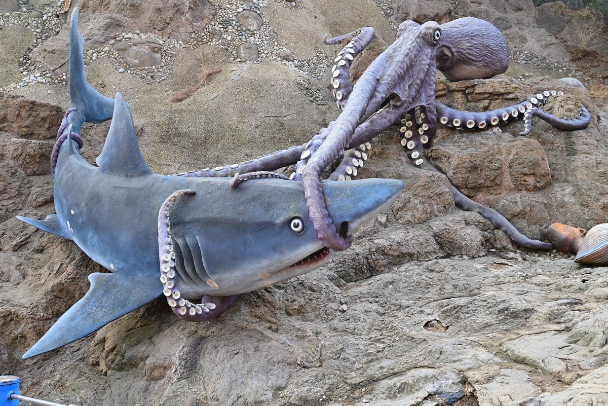 春游海之韵公园