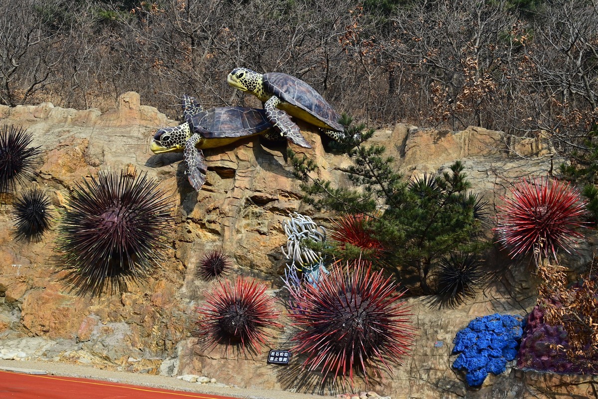 春游海之韵公园