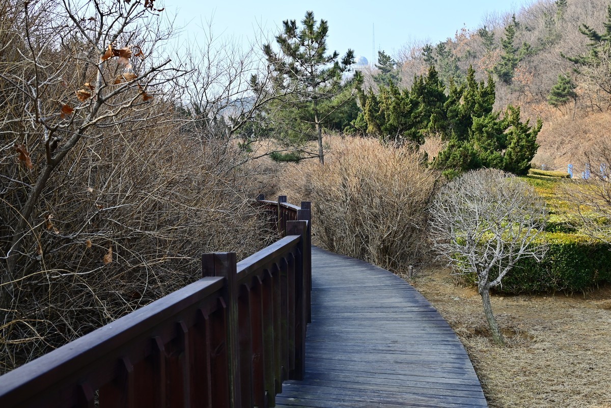 春游海之韵公园