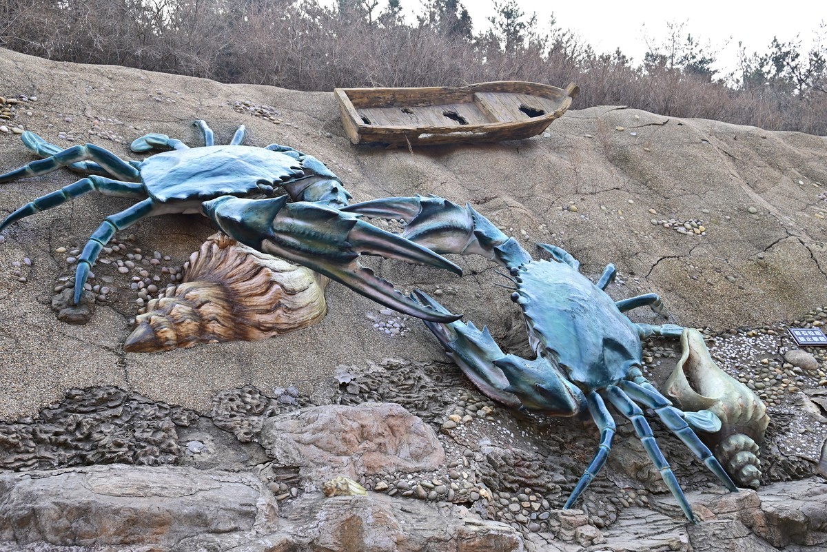 春游海之韵公园