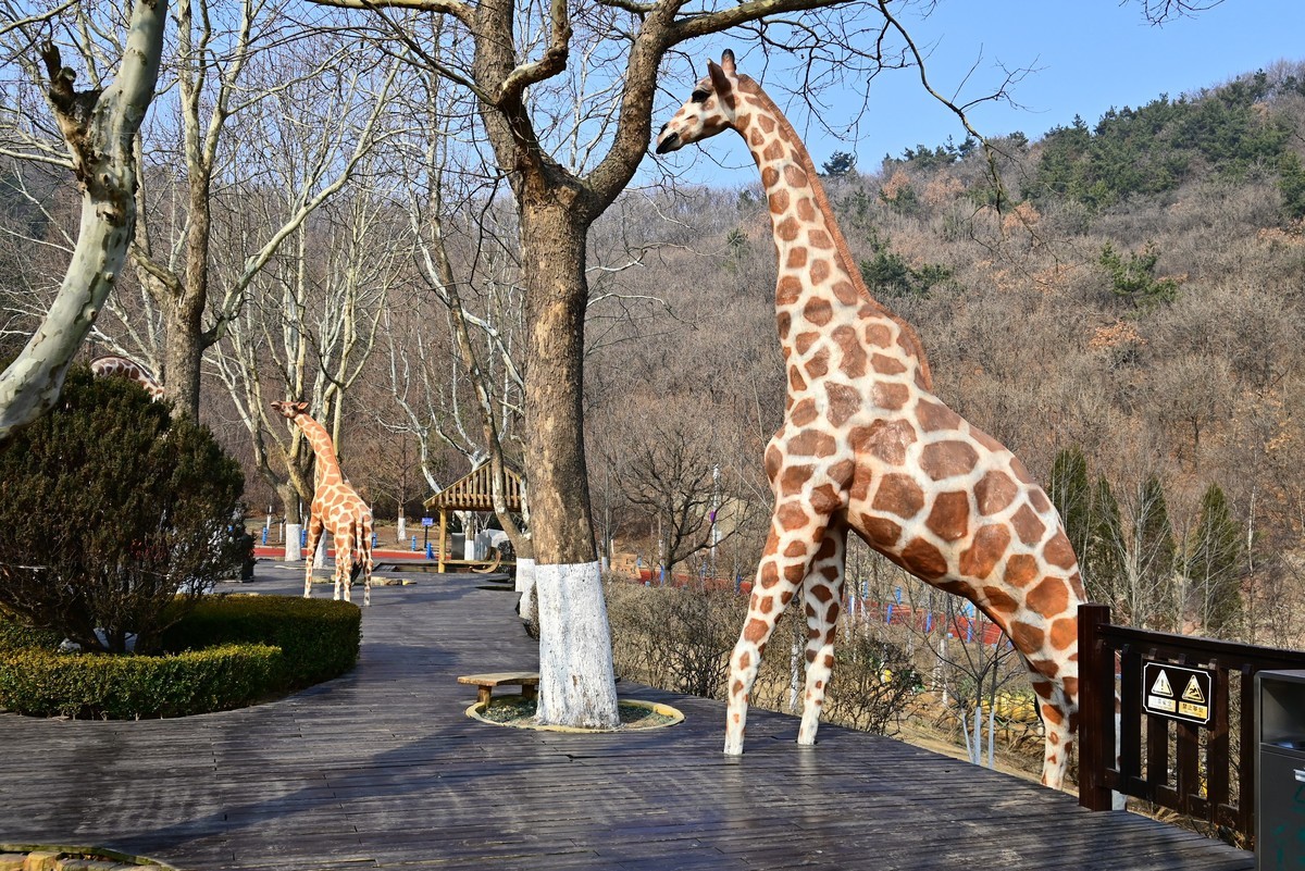 春游海之韵公园