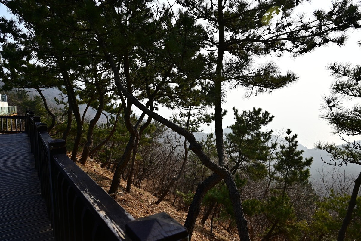 春游海之韵公园